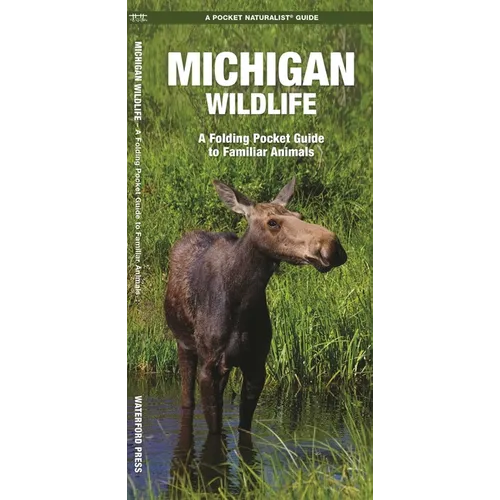 Michigan Wildlife: A Folding Pocket Guide to Familiar Animals