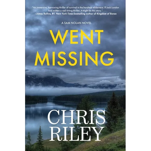 Went Missing: A Sam Nolan Novel