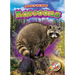 Raccoons