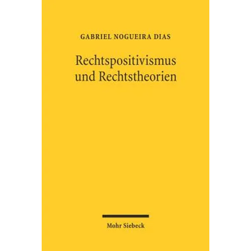 Rechtspositivismus Und Rechtstheorie: Das Verhaltnis Beider Im Werke Hans Kelsens
