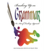 Brushing Up on Grammar: An Act of Teaching Approach