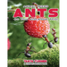 ANTS Do Your Kids Know This?: A Children's Picture Book