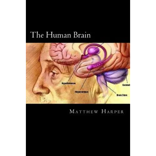 The Human Brain: A Fascinating Book Containing Human Brain Facts, Trivia, Images & Memory Recall Quiz: Suitable for Adults & Children