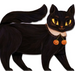One Black Cat
