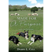 Made For A Purpose: Lessons From My Sheepdogs