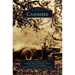 Cashmere