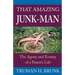 That Amazing Junk-Man: The Agony and Ecstasy of a Pastor's Life