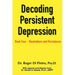 Decoding Persistent Depression: Book Four - Illustrations and Persistence