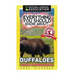 Everything You Should Know About: Buffaloes