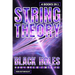 String Theory: Black Holes, Holographic Universe And Mathematical Physics