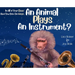 In All of Your Days Have You Seen the Ways an Animal Plays an Instrument?