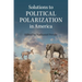 Solutions to Political Polarization in America