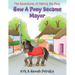 How A Pony Became Mayor