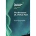 The Problem of Animal Pain