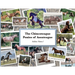 The Chincoteague Ponies of Assateague: Volume I Stallions