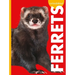 Curious about Ferrets