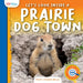 Let's Look Inside a Prairie Dog Town