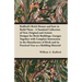 Radford's Brick Houses and how to Build Them - A Standard Collection of New, Original and Artistic Designs for Brick Buildings, Garages Together with