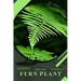 Fern Plant: Plant Guide