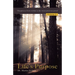 Life's Purpose