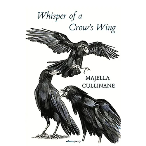 Whisper of a Crow's Wing