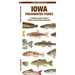 Iowa Freshwater Fishes: A Folding Pocket Guide to Native and Introduced Species