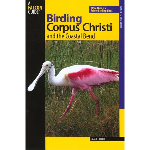 Birding Corpus Christi and the Coastal Bend
