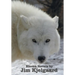 Eleven Novels by Jim Kjelgaard (complete and unabridged) including: The Spell of the White Sturgeon, The Lost Wagon, Trading Jeff and his Dog, Double
