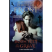 Both Feet in the Grave