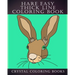 Hare Easy Thick Line Coloring Book: 30 Simple Line Drawing Outlines Of Hares Drawn With Thicker Lines.