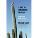 A Race to the Bottom of Crazy: Dispatches from Arizona