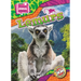 Lemurs