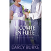 Le Vicomte en fuite