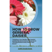 How to Grow Gerbera Daisies: Transform Your Garden with Colorful and Resilient and Unlock the Secrets to Thriving Gerbera Daisy Plants Year-Round