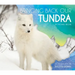Bringing Back Our Tundra