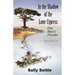 In the Shadow of the Lone Cypress