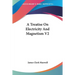 A Treatise On Electricity And Magnetism V2