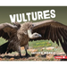 Vultures: Nature's Cleanup Crew