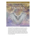 The Ministry of Angels Study Guide