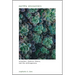 Earthly Encounters: Sensation, Feminist Theory, and the Anthropocene