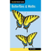 Butterflies & Moths