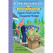Eugenia Lincoln and the Unexpected Package: Tales from Deckawoo Drive, Volume Four (a Quirky Early Chapter Book of Surprise and Self-Discovery - For K
