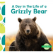 Day in the Life of a Grizzly Bear