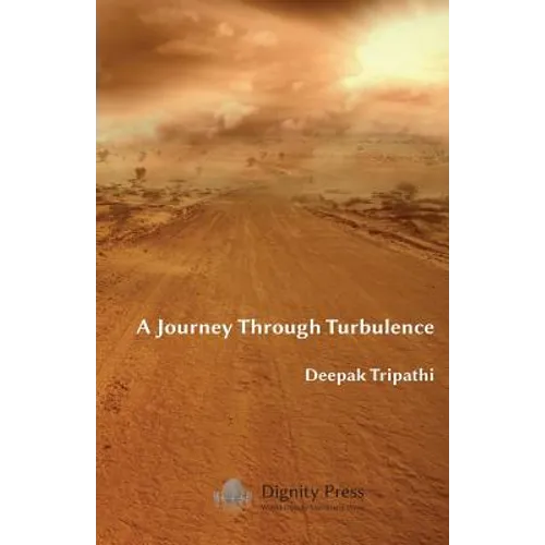 A Journey Through Turbulence