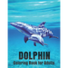 Dolphin Coloring Book for Adults: Dolphin Lovers for Boys & Girls Stress Relieving Designs for Adults Relaxation