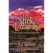 The Stick Lizards: Book 3 The Mystery of the Roadrunner