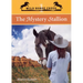 The Mystery Stallion: Volume 1