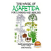 The Magic of Asafetida For Cooking and Healing