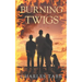 Burning Twigs: Book 5 of the Twigs series