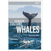 Colonialism, Culture, Whales: The Cetacean Quartet